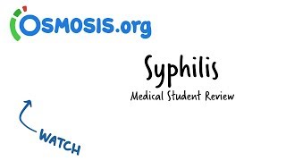 Syphilis  Clinical Presentation [upl. by Ellary]