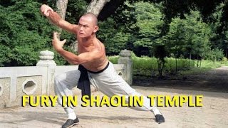 Wu Tang Collection  Fury In Shaolin Temple [upl. by Enilemme]