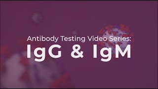 Antibody Testing IgG and IgM explained [upl. by Love]