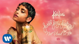 Kehlani – Not Used To It Official Audio [upl. by Forland105]