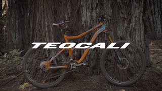 Mongoose Teocali Expert [upl. by Robers]