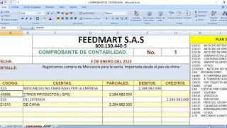 REGISTRO CONTABLE DE IMPORTACIONES [upl. by Yral]