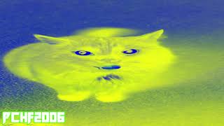 Maxwell Cat But Random Effects When Meowing [upl. by Aromat830]