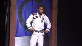 Ronaldo Souza quotJacaréquot vs Mike Weaver Rickson Gracies Budo Challenge [upl. by Michey]