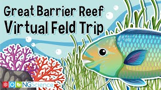 Great Barrier Reef – Virtual Feld Trip [upl. by Elak]