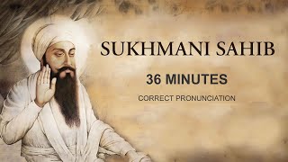 Sukhmani Sahib FAST 36 minutes Shudh Ucharan Taksali Singh [upl. by Nealah]