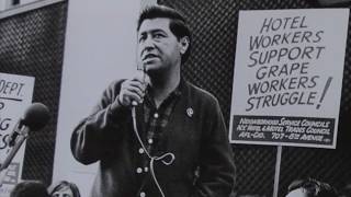 Cesar Chavez  Champion for Civil Rights  Childrens Biography [upl. by Heddy]