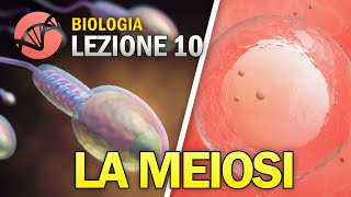 BIOLOGIA  Lezione 10  La Meiosi [upl. by Ebby]