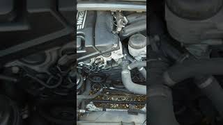 Bmw e90 n46 318i 2006 engine sound [upl. by Lunsford7]