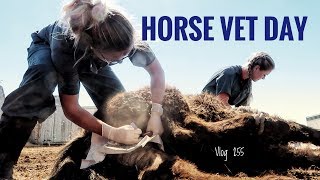 HORSE VET DAY vlog 255 [upl. by Gauldin]