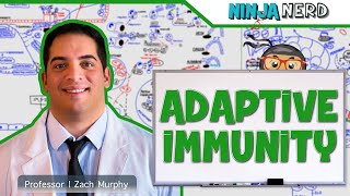 Immunology  Adaptive Immunity [upl. by Danielle517]