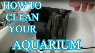 How to clean an aquarium  Beginners guide [upl. by Ebeneser]