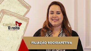 Explica Direito Filiação Socioafetiva  2019 [upl. by Terraj289]