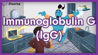 Immunoglobulin G IgG USMLE Mnemonic [upl. by Ocinom563]