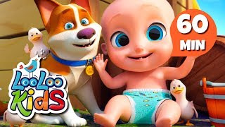 Animal Sounds  S2EP42 Musical Adventure Collection  LooLoo Kids Songs for Kids [upl. by Nofets170]