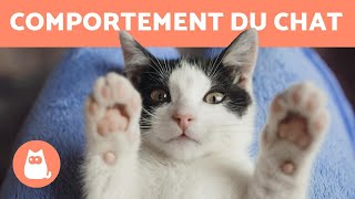 Comportement du chat  Les clés pour les comprendre [upl. by Soma]