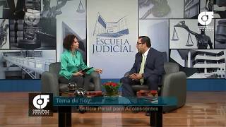 Justicia Penal para Adolescentes [upl. by Anola]