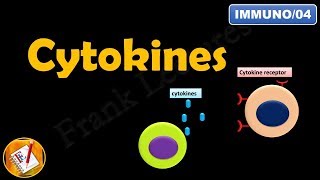 CYTOKINES  ILs INFs TNFs CSFs and Chemokines FLImmuno04 [upl. by Drusilla761]