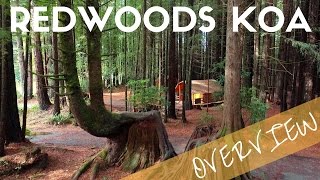 Crescent City Redwoods KOA Campground Overview  Camping near Redwoods National Park [upl. by Afrika553]