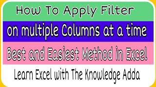 How To Apply Filter on Multiple Columns Simultaneously in Excel [upl. by Chuu884]