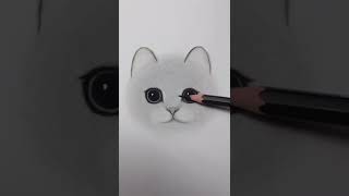 cute cat Sketch  Farjana Drawing Academy short [upl. by Bennet826]