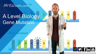 Gene mutation  A Level Biology [upl. by Templer]