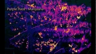 Binaural Beats  Marijuana High THC Beat Purple Haze Digital Drug [upl. by Anaj77]