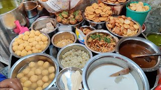 Chaat Heaven of India  Delhis Popular Bhalla Papdi Chaat  Indian Street Food [upl. by Kalina156]