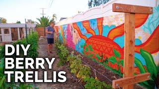 How To Build A Raspberry Trellis  Keep Your Berries Producing For YEARS [upl. by Salba]