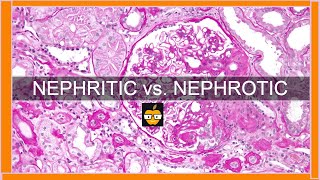 Nephritic vs Nephrotic Syndromes [upl. by Dviad]