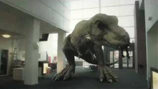 T Rex In The Atrium 2010 [upl. by Douglas]