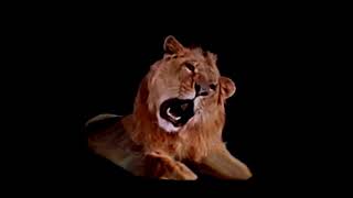 MGM Leo The Lion Video Footage [upl. by Herold]