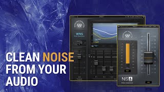 How To Clean Unwanted Noise in Audio Waves WNS  NS1 Tutorial [upl. by Jolie469]