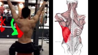 How To Properly Do Lat Pulldowns [upl. by Lessard]