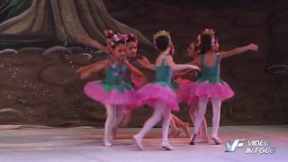 ARTE DANCE 2016  Flores Rosas [upl. by Cinomod]