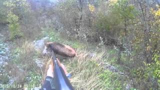 Лов на диви прасета  Wild boar hunting [upl. by Nadnal]