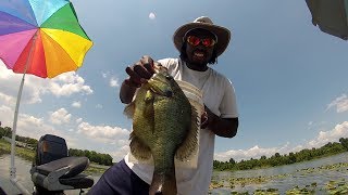 Shellcracker Fishing catching Huge Monster Slabs [upl. by Elia]