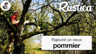 Rajeunir un vieux pommier [upl. by Dacia2]