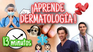 PIEL ¡Anatomía funcional en 13 minutos BASES DE LA DERMATOLOGÍA [upl. by Annavaj]