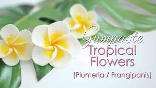 Gumpaste Plumeria  Frangipanis Tropical Flower Tutorial [upl. by Meier]