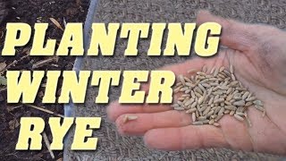 How to Plant Winter Rye as a Cover Crop [upl. by Lassiter]