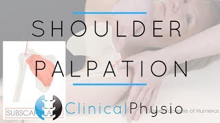 Shoulder Palpation  Clinical Physio Premium [upl. by Oalsinatse228]