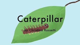 Caterpillar by Christina Rossetti  A Childrens Poem [upl. by Roydd]