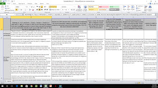 How to Create a Literature Matrix Excel [upl. by Aidnis851]