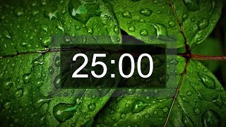 Countdown timer 25 minutes with relaxing music for concentration [upl. by Anelac682]