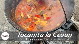 Tocanita la ceaun cu carne si legume  reteta usoara  COOKink [upl. by Dwayne782]