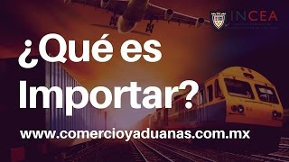 ¿Qué es la importacion [upl. by Ynnos]