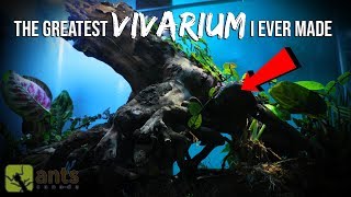 The Greatest Vivarium I Ever Made Ecosystem with Multiple Creatures [upl. by Athallia]