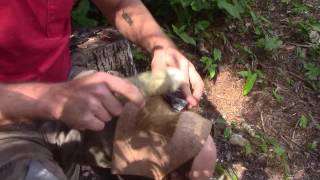 Flint knapping tips Thinning tough pieces [upl. by Kiker293]