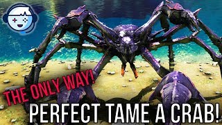 Ark Tutorial The Only Way to Perfect Tame a Crab Karkinos  Aberration  Ark Survival Evolved [upl. by Atinev]